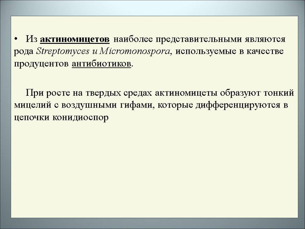 Из актиномицетов наиболее представительными являются рода Streptomyces и Micromonospora, используемые в качестве продуцентов антибиотиков.